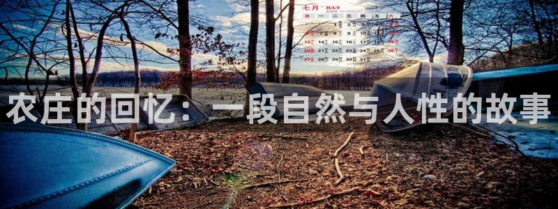 天辰娱乐首选