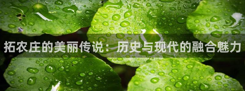 天辰娱乐公司