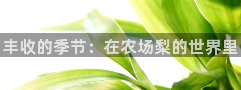 天辰娱乐557448