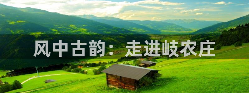 天辰平台娱乐