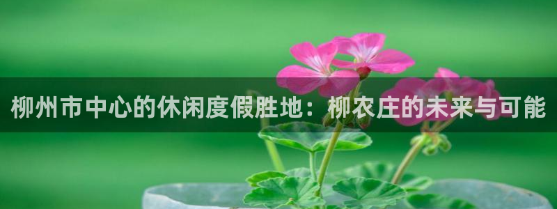 南京天辰娱乐
