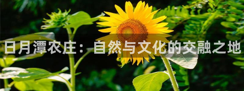 天辰娱乐官网