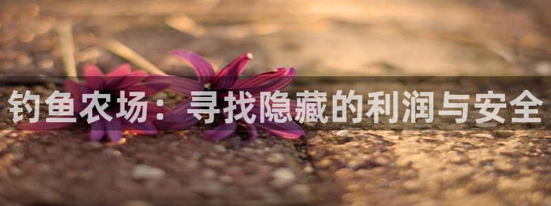 nba天辰娱乐