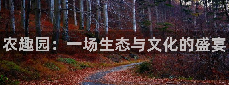 天辰娱乐885544