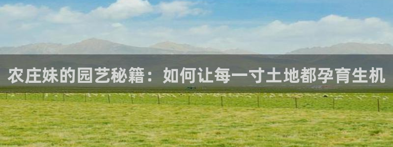 天辰娱乐测试