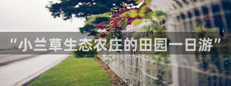 天辰娱乐代理