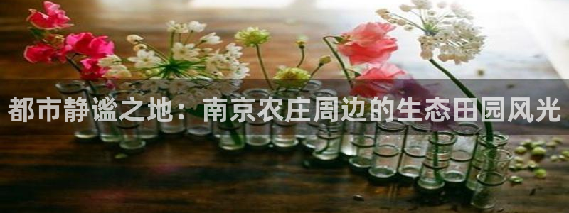 天辰娱乐维护