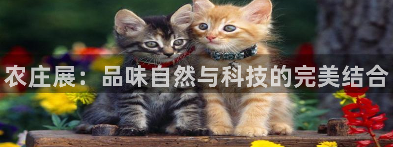 天辰娱乐首选