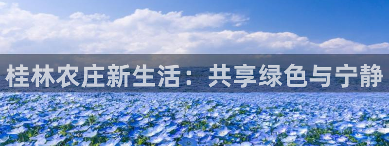 天辰娱乐_ 18113