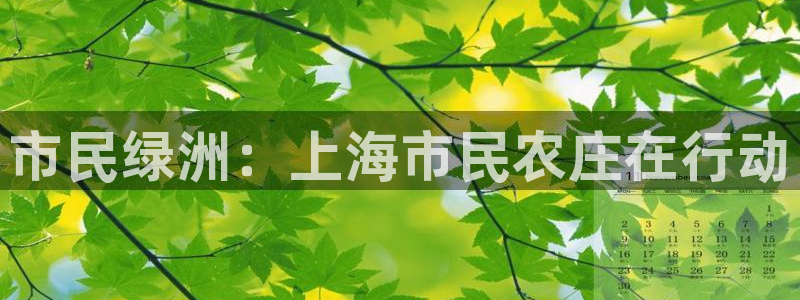 天辰娱乐网