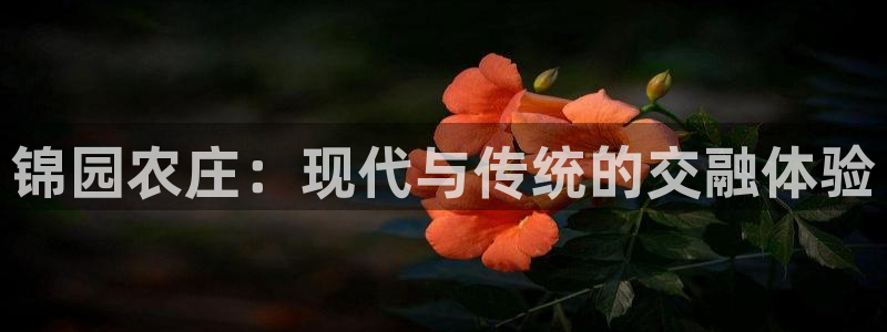 天辰天辰娱乐