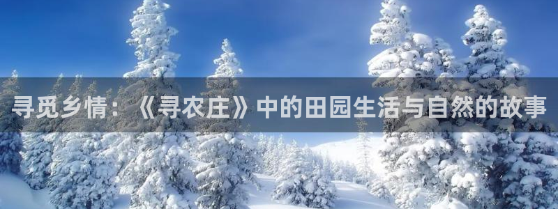 天辰宝娱乐
