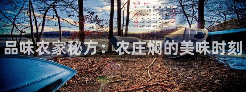 天辰娱乐鱼刺