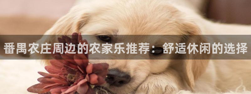 天辰娱乐官网