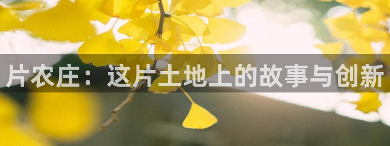 天辰娱乐675138