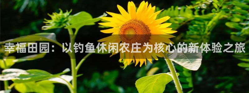 天辰娱乐 qq