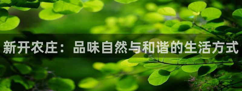 菲律宾天辰娱乐
