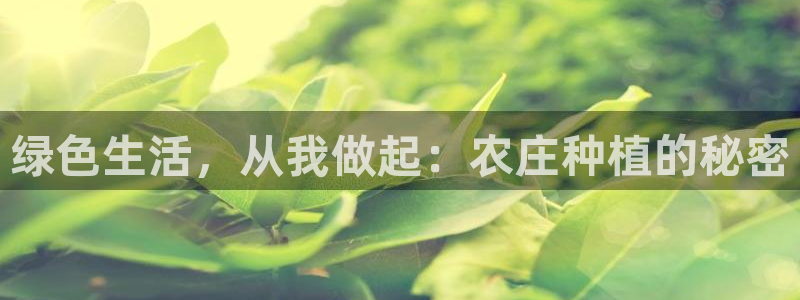 天辰娱乐新