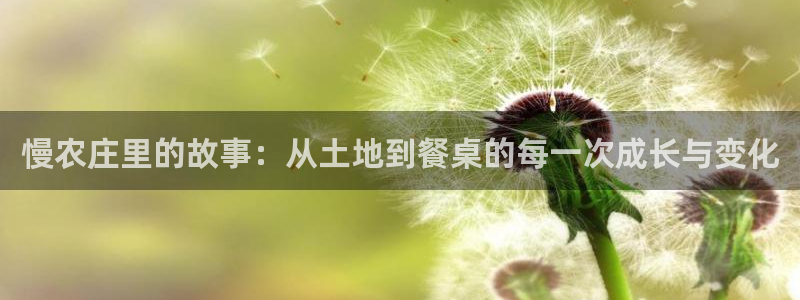 天辰在线娱乐
