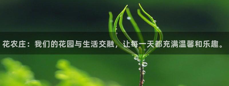 天辰娱乐赌博