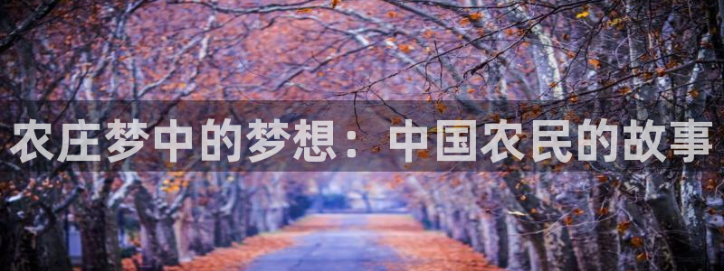 天辰宝宝娱乐