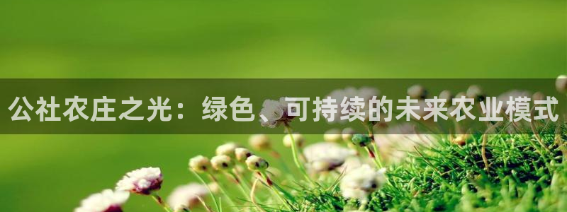 天辰娱乐 18113