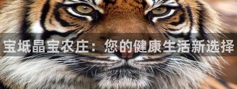 天辰娱乐 728567