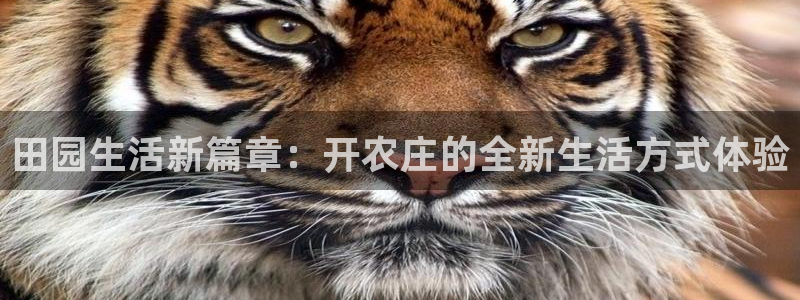 天辰娱乐厕所