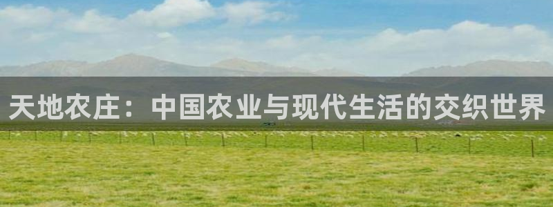 天辰娱乐 主管