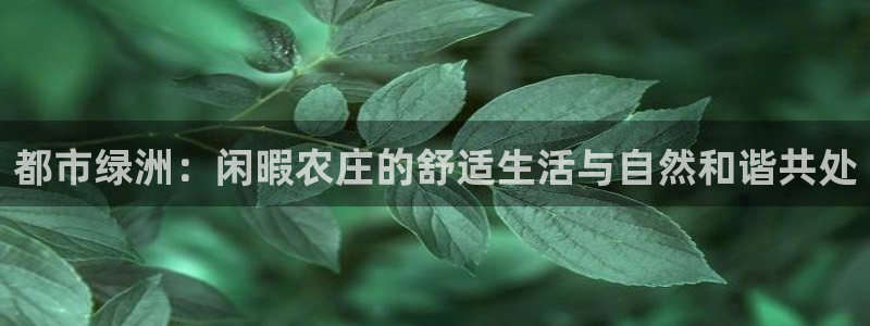 天辰娱乐557696