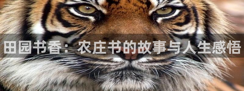 天辰娱乐新
