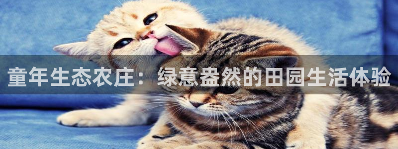 天辰娱乐信誉