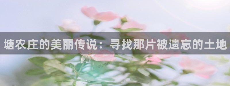 天辰娱乐官网