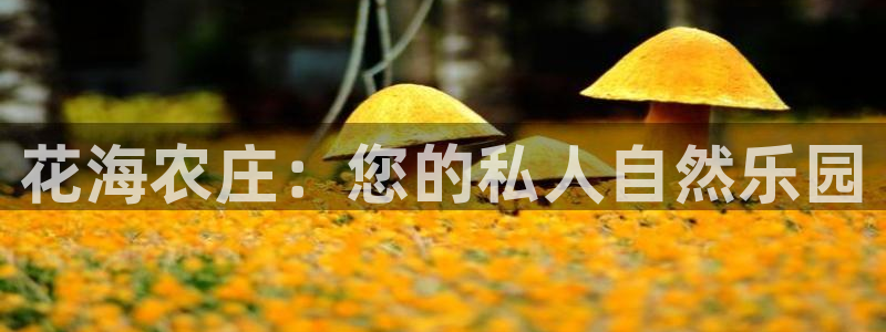 天辰娱乐所