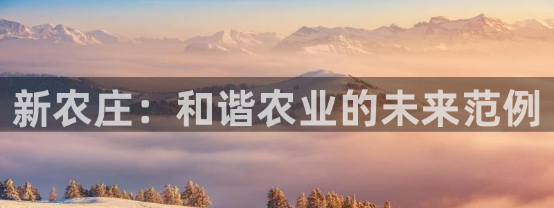 天辰娱乐39974神