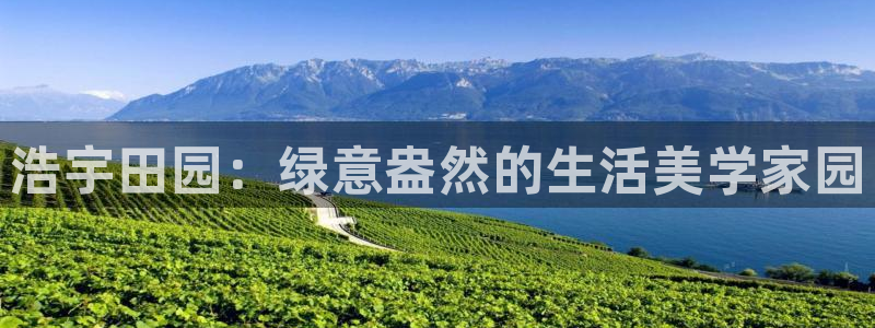 辰天娱乐用品