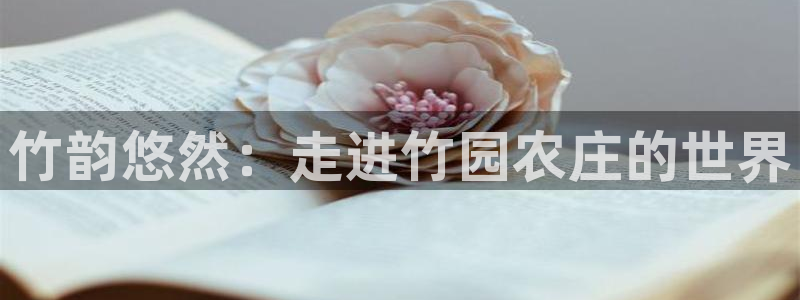 天辰娱乐官方网