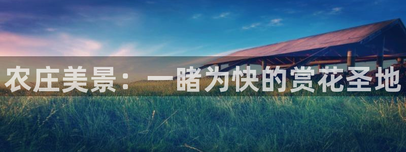 天辰娱乐平台安全吗