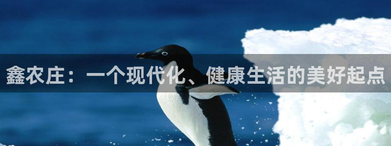 天辰娱乐51137