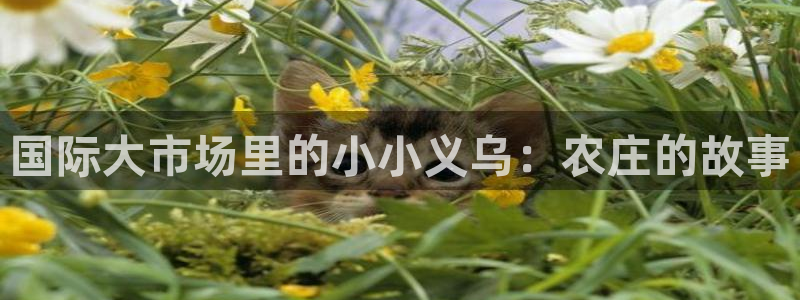 天辰娱乐平台