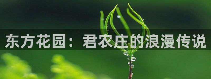 天辰娱乐957807