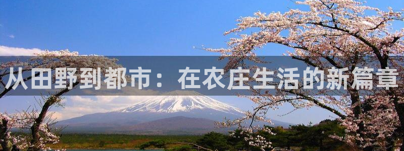 天辰娱乐tff