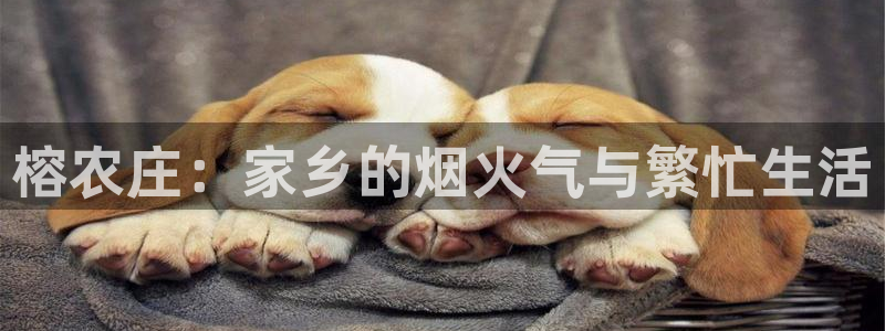天辰娱乐咋样