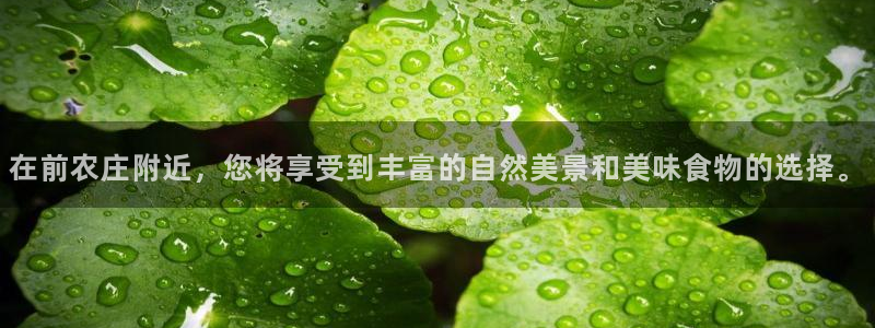 天辰 娱乐