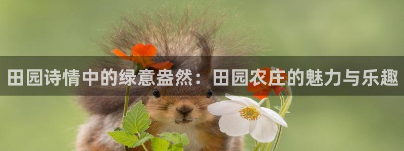 天辰娱乐登陆平台