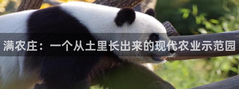 天辰娱乐 天辰平台