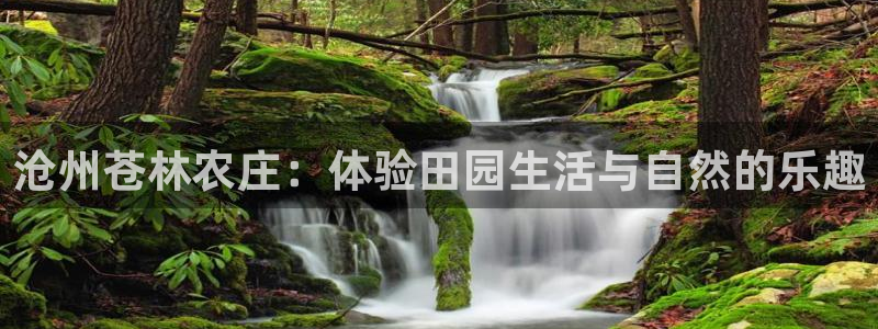 天富娱乐天辰娱乐