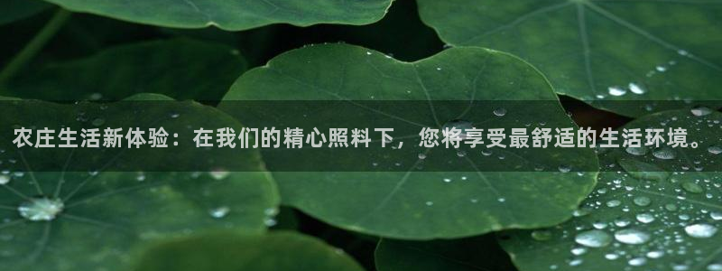 天辰娱乐下载