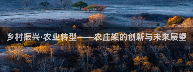 天辰娱乐线路