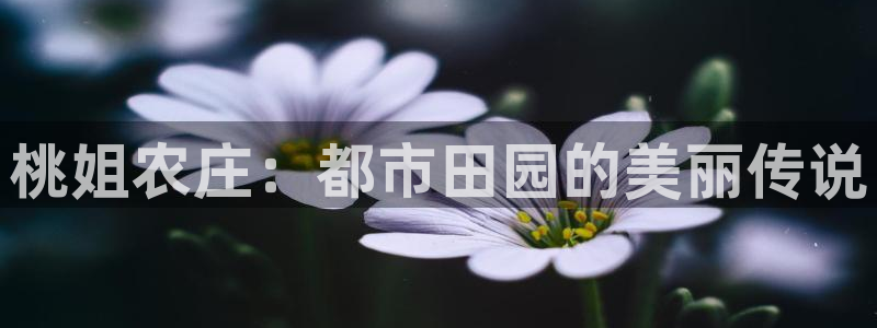 天辰娱乐-18113